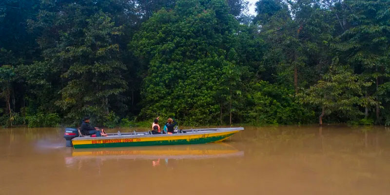 Jongerengroepsreizen Borneo